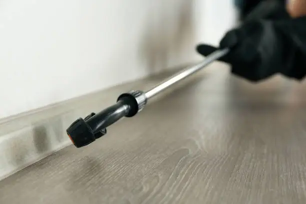 Cockroach entry points around kitchen plumbing