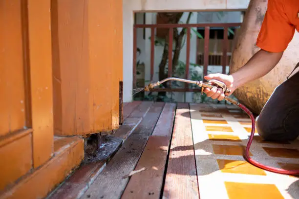Professional pest control service in Stark County OH