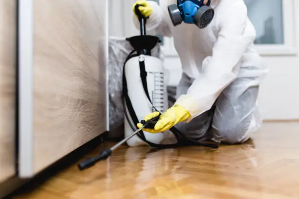Technician inspecting under a kitchen sink for cockroaches