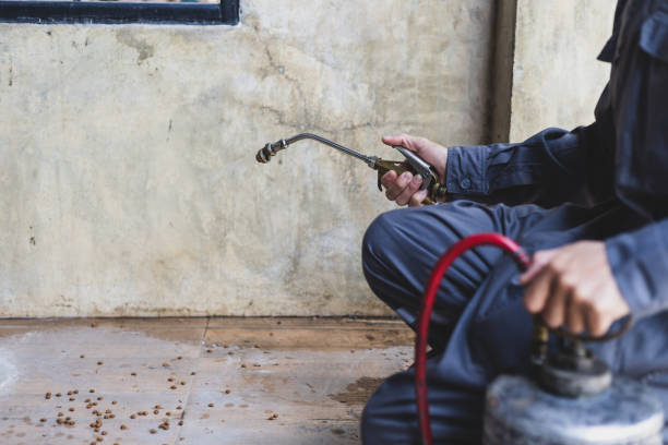 Technician sealing a rodent entry point on an Ohio home