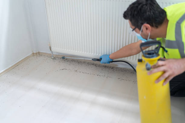 Professional pest control in Portage County OH